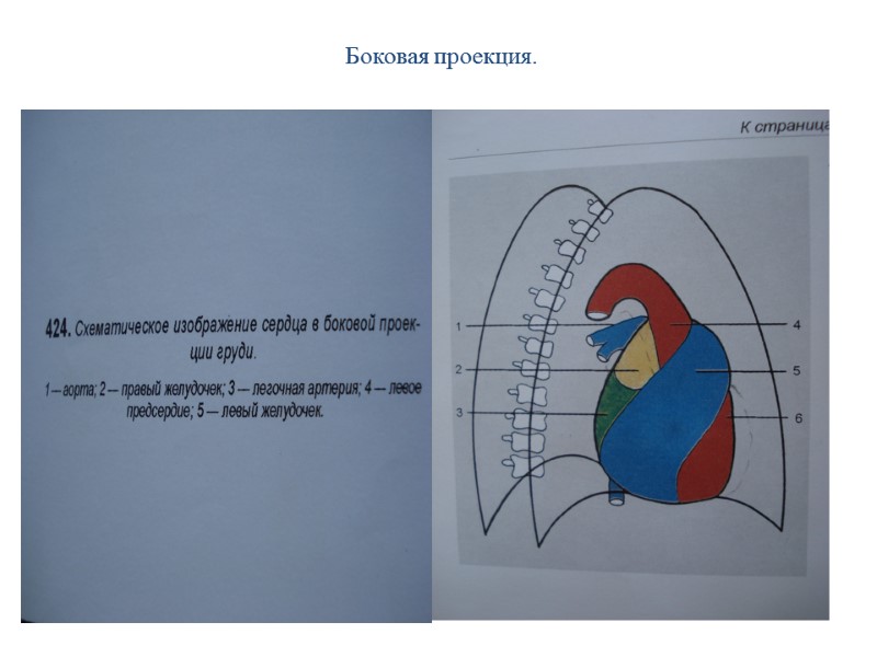 Боковая проекция.